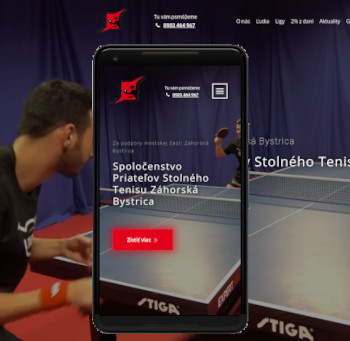 Stolni tenis web neziskovky